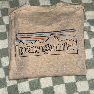 Patagonia Beige Responsibili-Tee